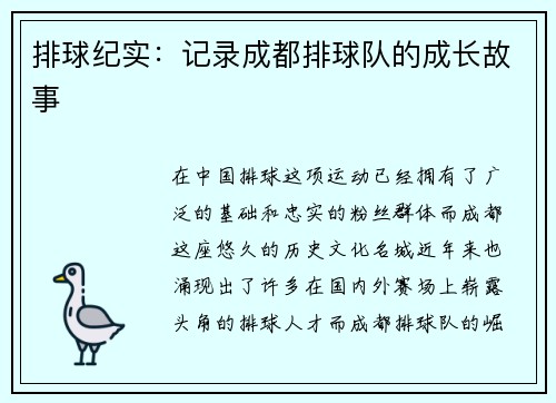 排球纪实：记录成都排球队的成长故事